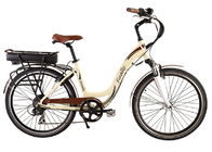 fourchette électrique de suspension d'alliage de V-freins de vélo de banlieusard de l'aide 250W